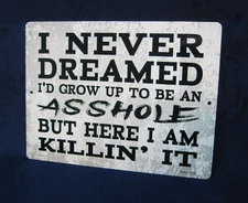 KILLIN' IT - Full Color Metal Novelty Sign ~ Garage Man Cave Bar ~ MADE in USA