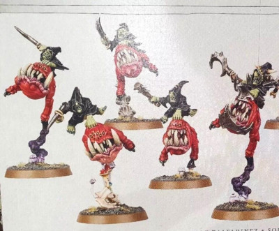Warhammer aos スクイッグハード Amazon.com: Warhammer Age of Sigmar Games Workshop