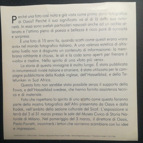 RARO ALLEGATO OASIS 3/89 - RIPRODUZIONE FAMOSA FOTO MARTIN PESCATORE HASSELBLAD - Picture 2 of 4