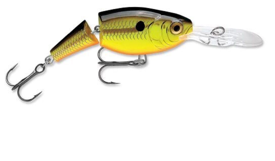 RAPALA RAPALA JOINTED SHAD RAP CRANKBAIT 2 3/4 1/2OZ #7 - Cheap Seats  Sports Excellence