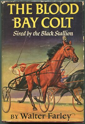 The Black Stallion The Black Stallion