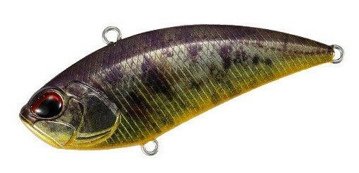 Tule Perch ND