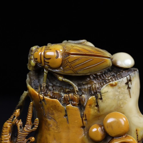 Exquisita Colección Shoushan Talla en Piedra, Increíble Adorno Sello Cicada - Imagen 2 de 10