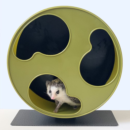 Silent Runner Wheel 12" WIDE + Sandy Track + Cage Attachment - Pet Exercise Set - Picture 10 of 12