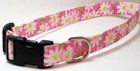 Daisies/Pink (#256) - Cat, Boston Terrier, Scottish Terrier, Puli, Boxer, Akita