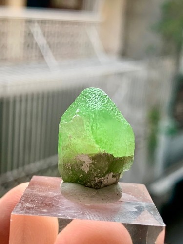 Vibrant peridote terminated crystal Kohistan Pakistan - Picture 2 of 8