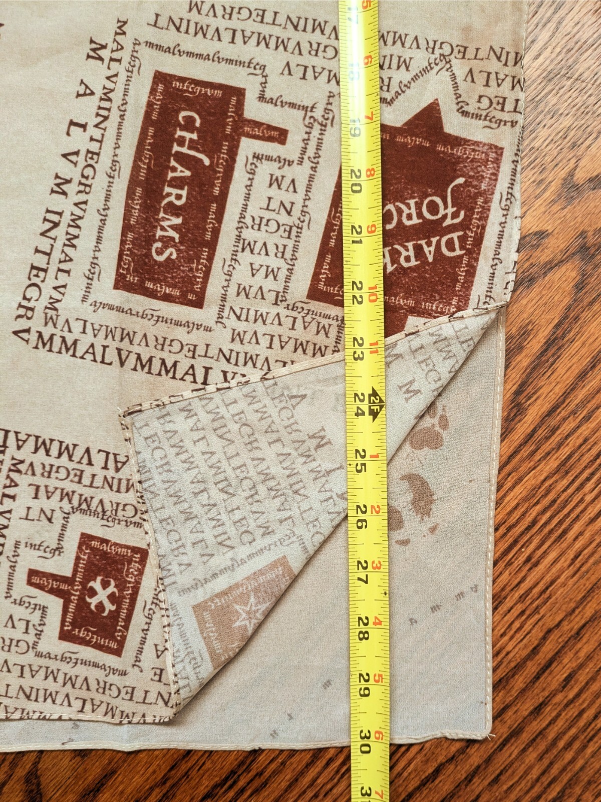 Foto 10 di 11