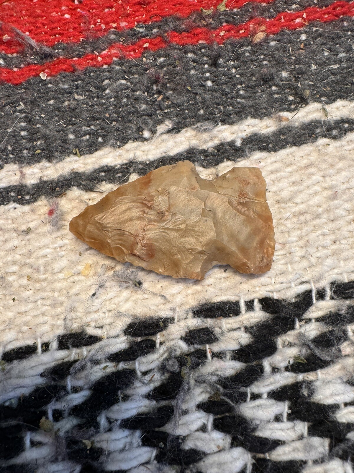 Picture 18 of 19