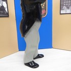 Foto 14 di 15