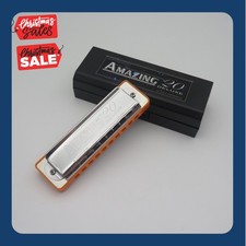 10-hole Harmonica, Blues Instruction for Adults, Beginners, and Professionals.