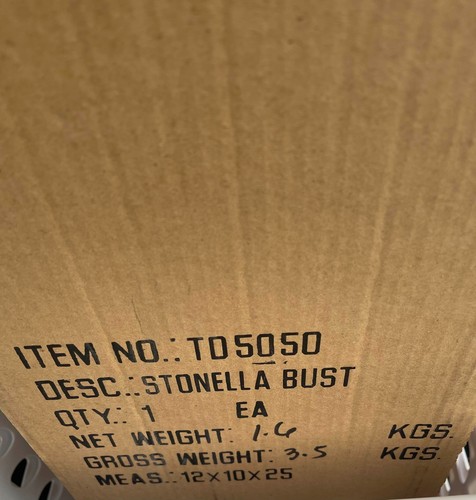 NEU IM KARTON Bethany Lowe Halloween Stonella Hexe Büste - nicht mehr produziert 2015 KOSTENLOSER VERSAND - Bild 2 von 2