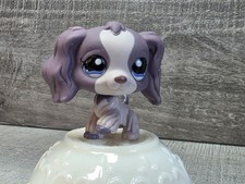 Littlest Pet Shop 1209 Lps Authentic Purple Cocker Spaniel Dot Eyes G27