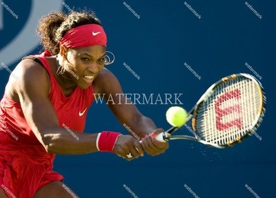 EW980 Serena Williams Tennis 8x10 11x14 16x20 Photo