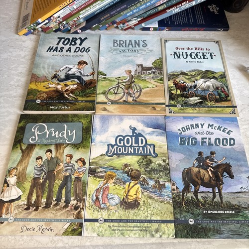 The Good And The Beautiful Lot Of 30 Books Level 2,3,4,5,6,7 - Imagen 8 de 12