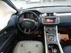 Picture 10 of 10