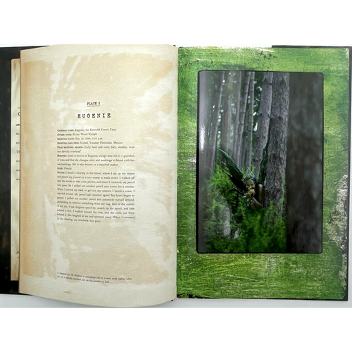 A Small Book of Fairies by Stiles, Eugene 1st Ed & The Fairies S. Scalora 1st Ed - Picture 12 of 15