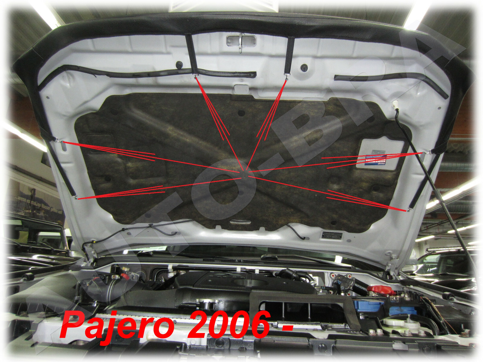 Imagen 5 de 5