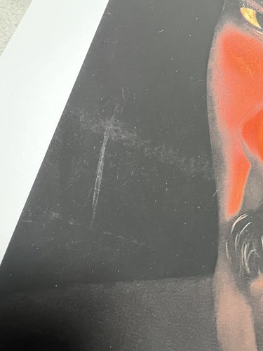 Westside Gunn Isaac Pelayo Michael Jordan WWVD Virgil Art Print 96/187 SOLD OUT - Picture 6 of 7