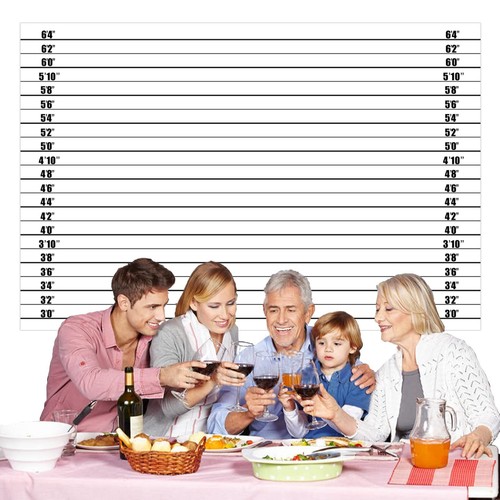 Mugshot Police Lineup Height Charts Banner Accurate Measurements Theme Decor ... - Picture 6 of 6