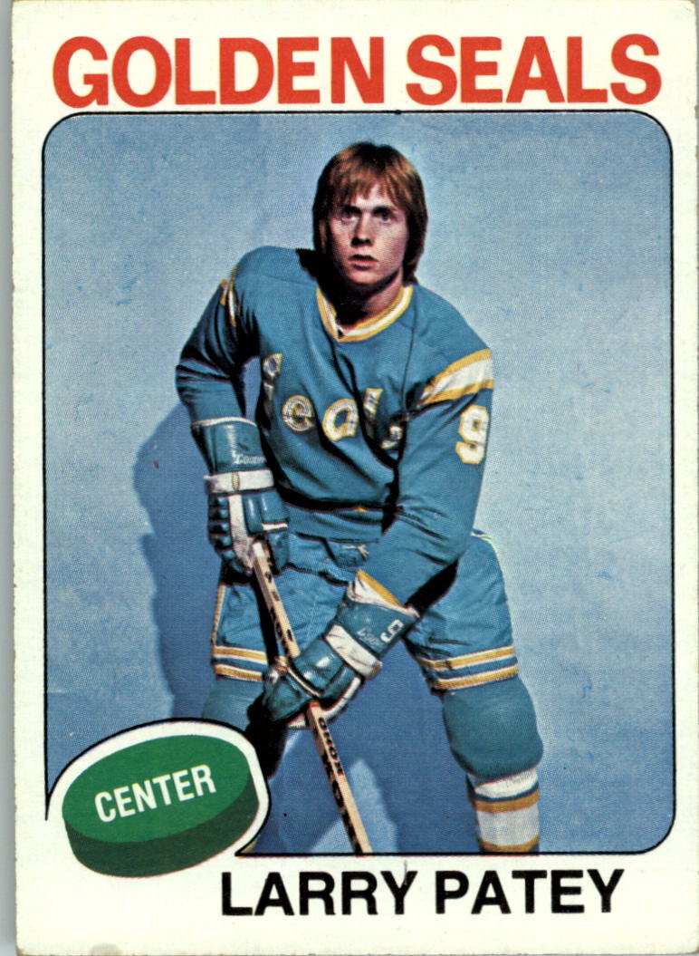 1975-76 Topps #137 Larry Patey - EX