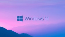 Dell 7490 Laptop Windows 11 64GB Fast 1TB SSD +++5 Year Warranty