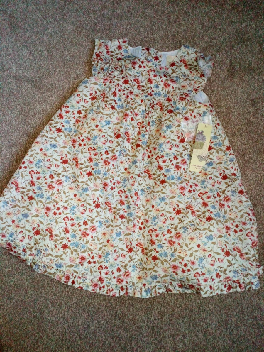 BABY GIRLS STRAWBERRY FAIRE DRESS BNWT AGE 24 18-24 months neutral flowers  | eBay