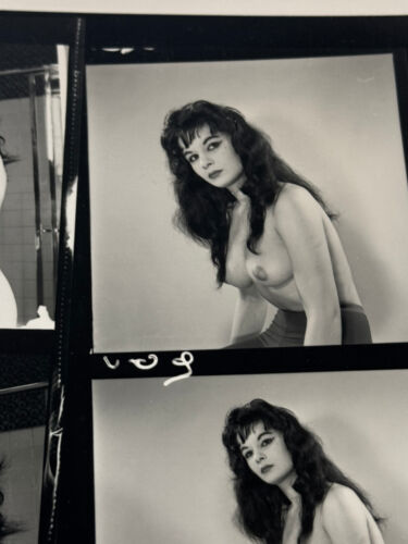 Vintage 1960s Sexy Black Haired Amateur Nude Model Pin Up Girl Contact Sheet - Bild 6 von 6