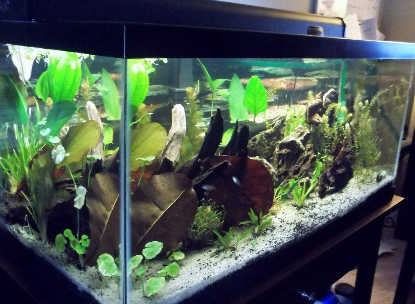 Picture 4 of 7