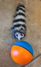 Raccoon Gag Magic Trick Mentalism