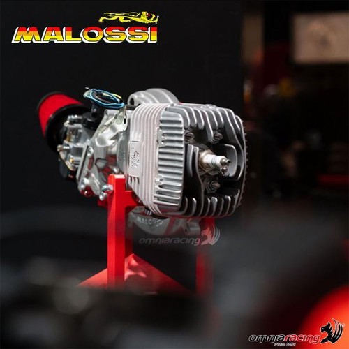 Malossi Front shock absorber spring for Piaggio Quartz - Picture 6 of 8