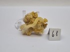 Foto 4 di 21