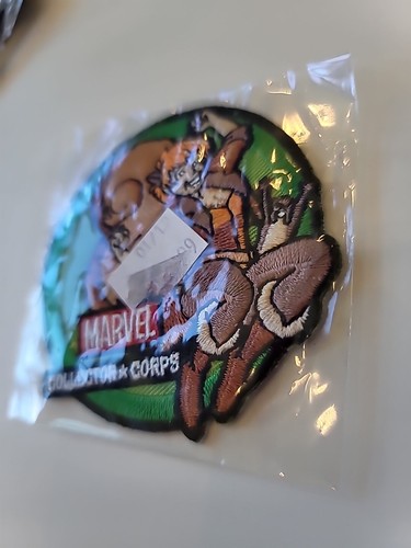 Marvel Collector Corps Patch Eichhörnchen Mädchen Comic Heldin bestickt Funko Misp - Bild 3 von 7