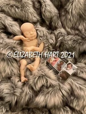 ROSIE * Reborn BLANK KIT * Laura Lee Eagles