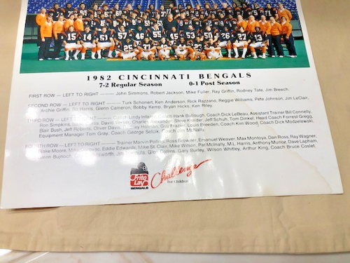 CINCINNATI BENGALS 1982 Frito Lay Original NFL Team Picture/Water-Stained/Fair - Picture 5 of 11