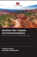 Freitas Cossa (U. A.) | Gestion Des Risques Environnementaux | Taschenbuch