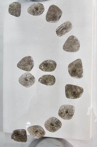 Diamantes Polki de lujo amarillos (marrones) de 15,21 quilates: diamantes naturales raros - Imagen 12 de 17