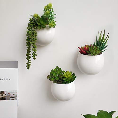 Wall Planter with Artificial Plants, Decorative Potted Fake Succulents Picks - Picture 5 of 8