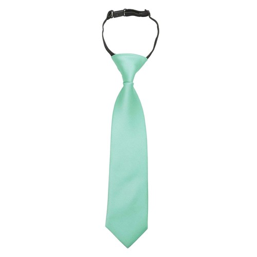 Boys Elastic Tie Plain Twill Casual Wedding Pre-Tied Kids Necktie 2-7 Yrs by DQT - Picture 30 of 53
