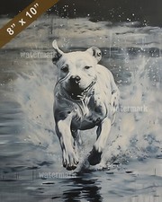 Dogo Argentino painting running along the shore 8x10 Print
