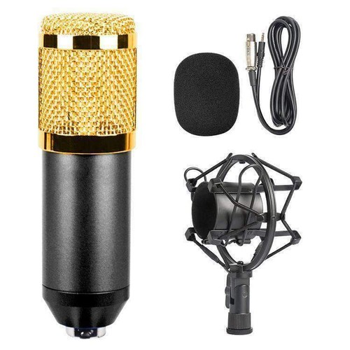 Studio Condenser Microphone Set Stand Shock Mount Pop Filter 3.5mm XLR Cable - Picture 9 of 11