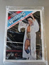 Rick Flair NWA WRESTLING SUPERCARDS IN SEALED PACKAGING