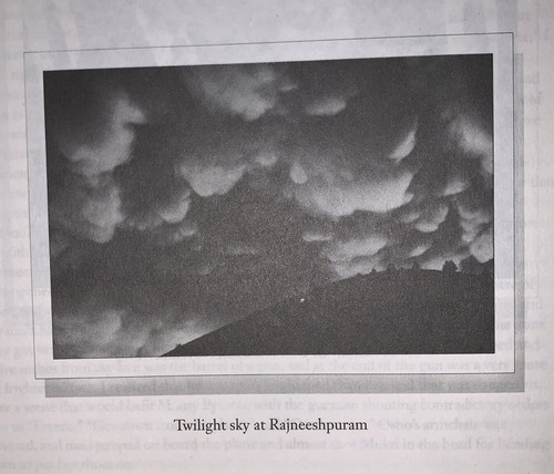 SIGNED, DIAMOND DAYS WITH OSHO, THE NEW DIAMOND SUTRA, by MA PREM SHUNYO, 1989 - Picture 10 of 12