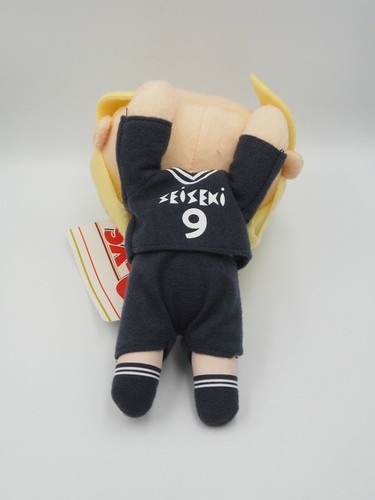 DAYS B2312 Kazama Jin SEGA Nesoberi Plush 6" Plush Stuffed TAG Toy Doll Japan - Picture 7 of 10