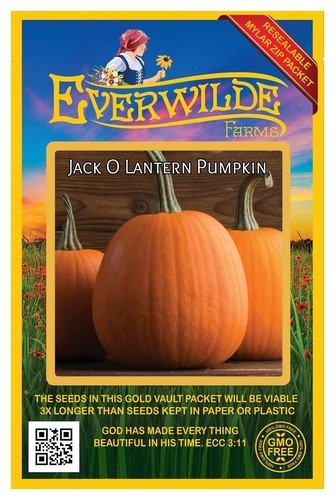 40 Jack O Lantern Pumpkin Seeds - Everwilde Farms Mylar Seed Packet - Picture 1 of 3