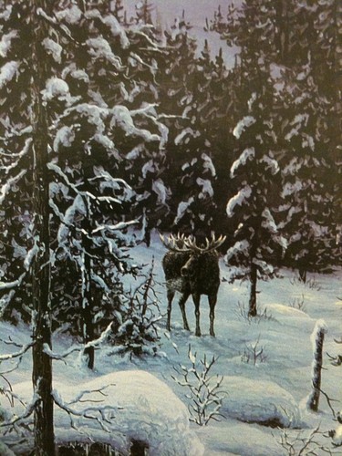Jeff Tift "Winter's Cry" S/N Ltd Ed Print #4/850 - Bild 7 von 8