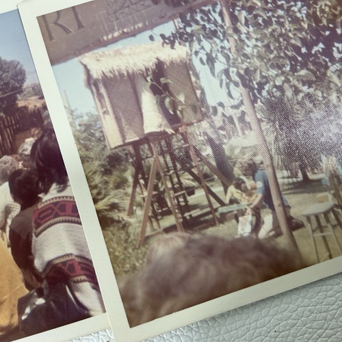 FOTO ISTANTANEE A COLORI VINTAGE ANNI 70 3,5x3,5” famiglia animali delfini tigri lotto 170 - Foto 3 di 18