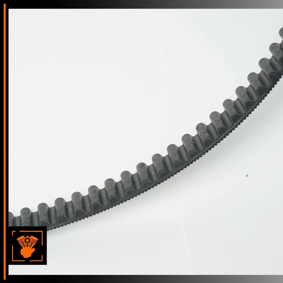 Harley XL1200L 137T 2008 correa de transmisión de distribución del motor 40591-07 OEM 9 k Foto 2 de 4