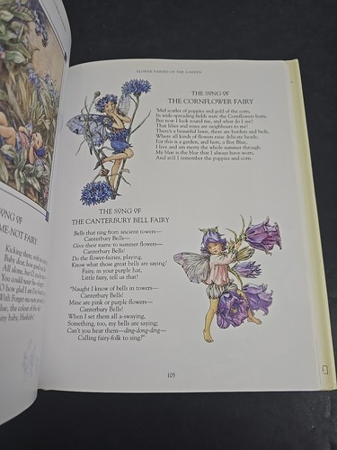The Complete Book of the Flower Fairies HC Cicely Mary Barker 2002 VG+ Illustrat - Foto 22 di 24