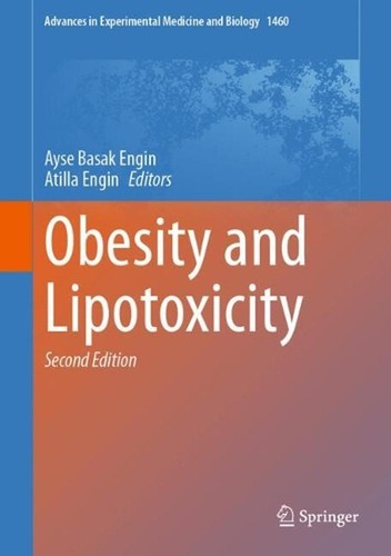 Fettleibigkeit und Lipotoxizität von Ayse Basak ENGIN Hardcover Buch