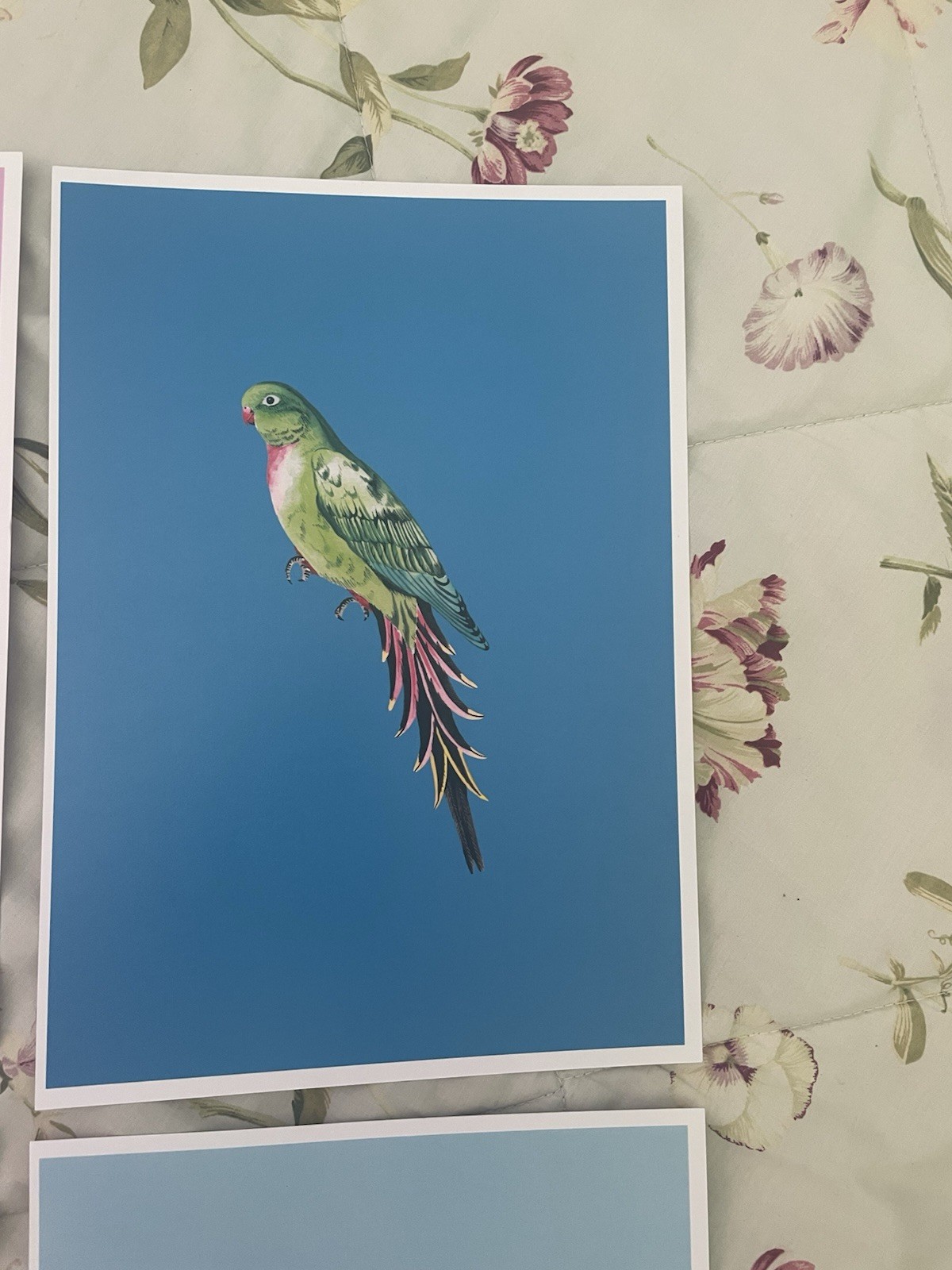 Picture 4 of 5
